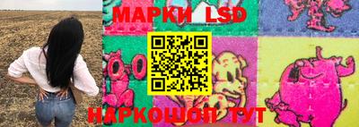 apvp Заводоуковск