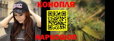 apvp Заводоуковск