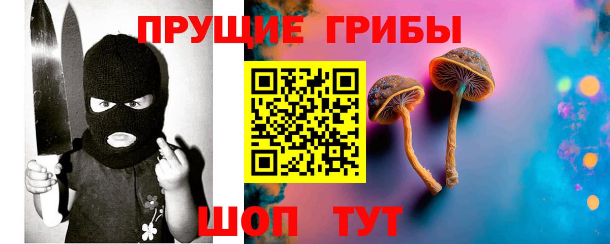 Галлюциногенные грибы Psilocybine cubensis Медногорск